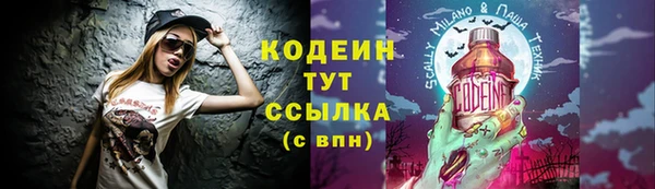 гашик Осинники