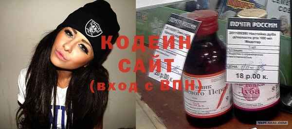 гашик Осинники